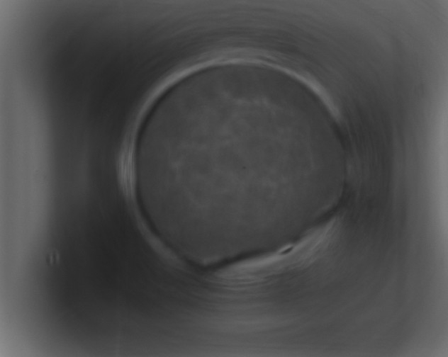 X0000100761515200807031139