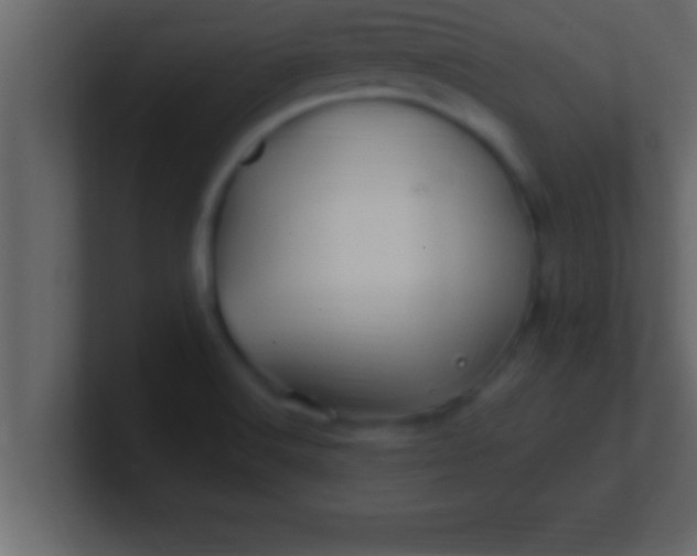 X0000100761516200807031139