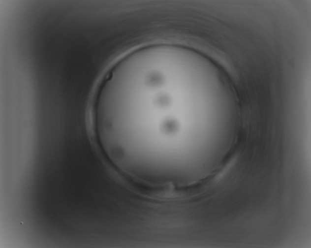 X0000100761517200807031139