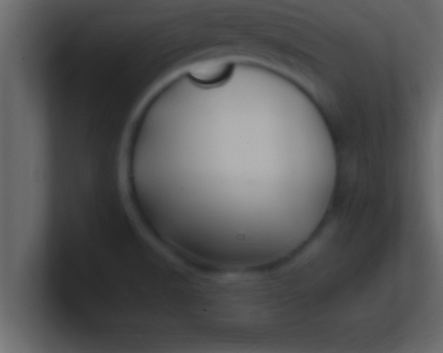 X0000100761518200807031139