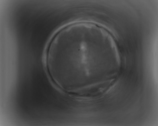 X0000100761519200807031139