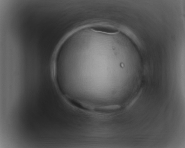 X0000100761520200807031139