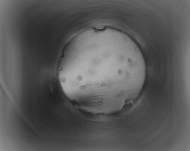 X0000100761521200807031139