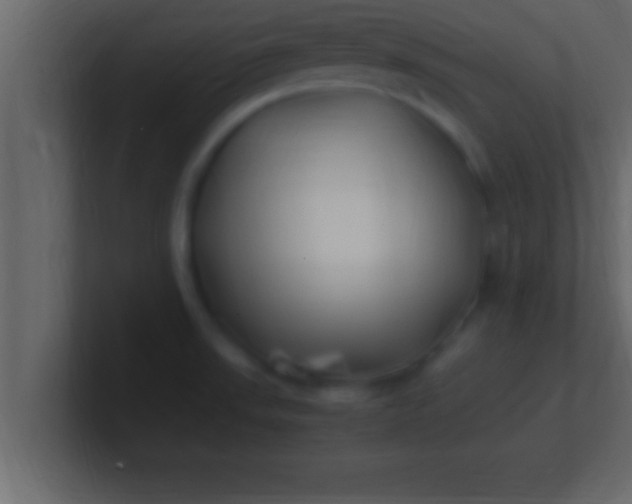 X0000100761523200807031139