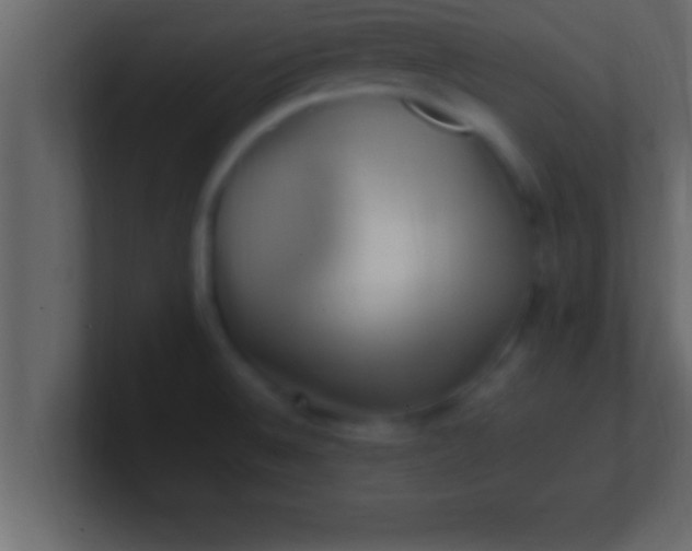 X0000100761524200807031139