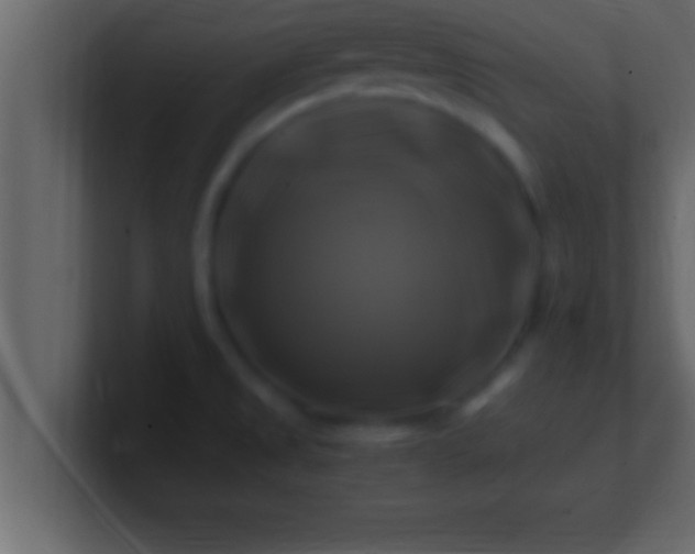 X0000100761525200807031139