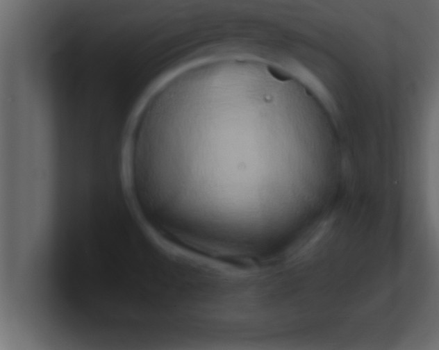 X0000100761528200807031139