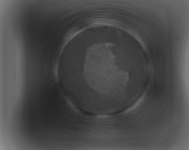 X0000100761529200807031139