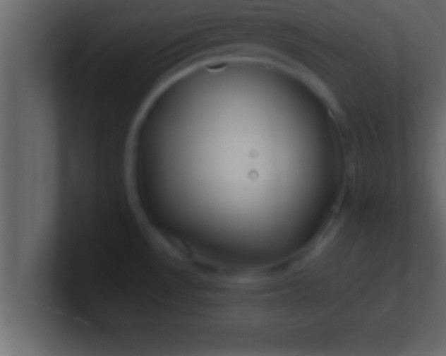 X0000100761530200807031139