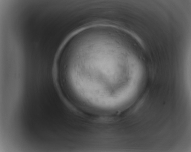 X0000100761531200807031139