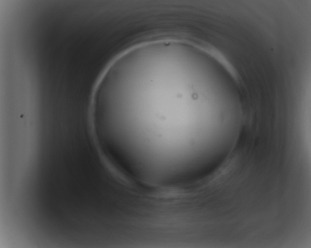 X0000100761532200807031139