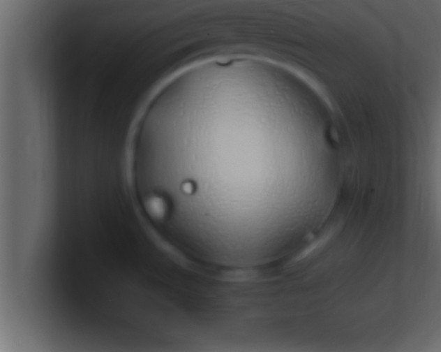 X0000100761535200807031139