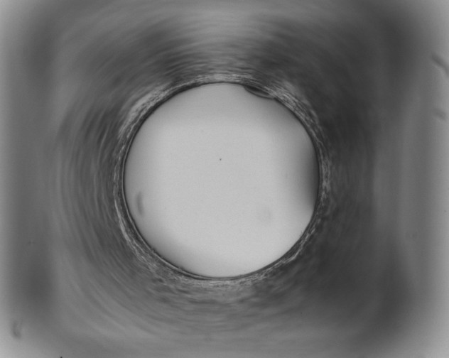 X0000100760001200807101739