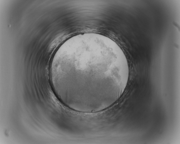 X0000100760002200807101739
