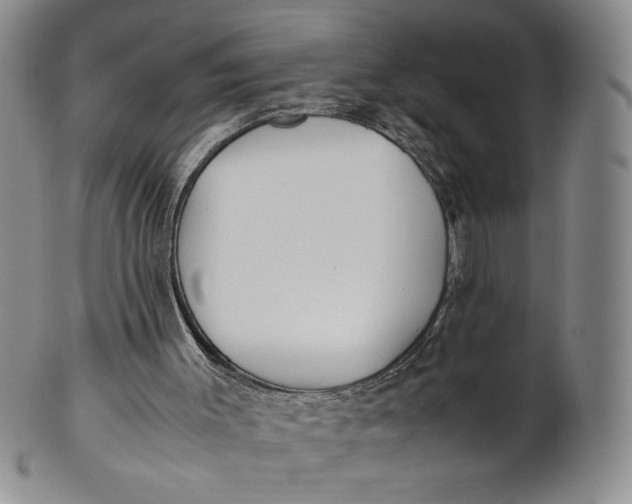 X0000100760003200807101739