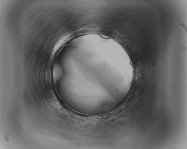 X0000100760004200807101738