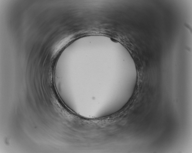 X0000100760005200807101738