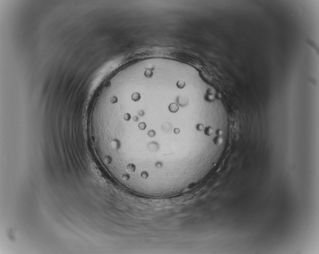X0000100760006200807101738