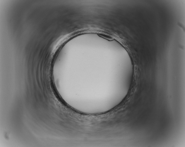 X0000100760007200807101738