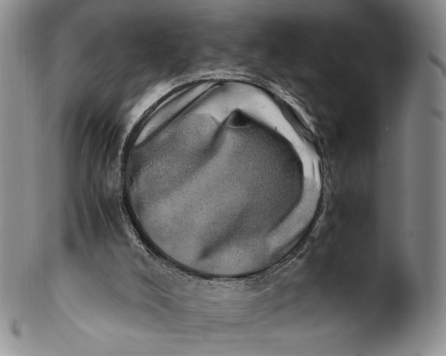 X0000100760008200807101738