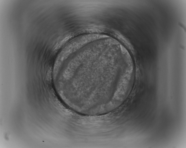 X0000100760009200807101738