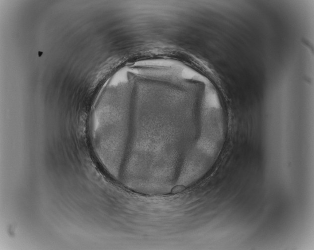X0000100760010200807101738