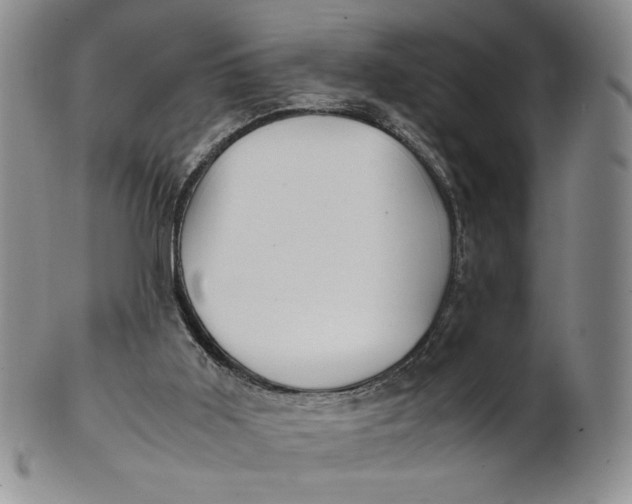 X0000100760011200807101738
