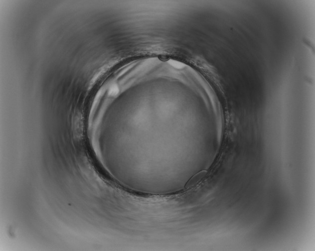 X0000100760012200807101738