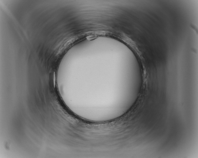 X0000100760013200807101738
