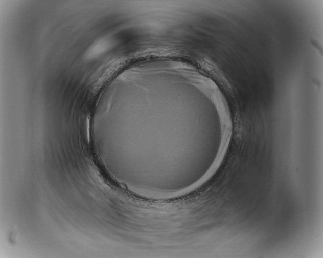 X0000100760014200807101738