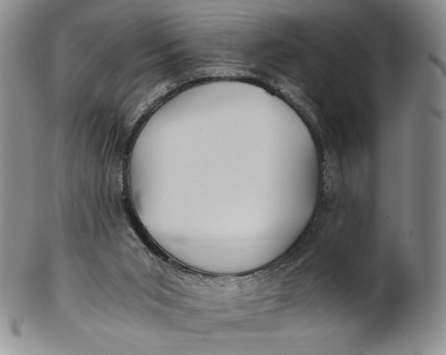 X0000100760015200807101738