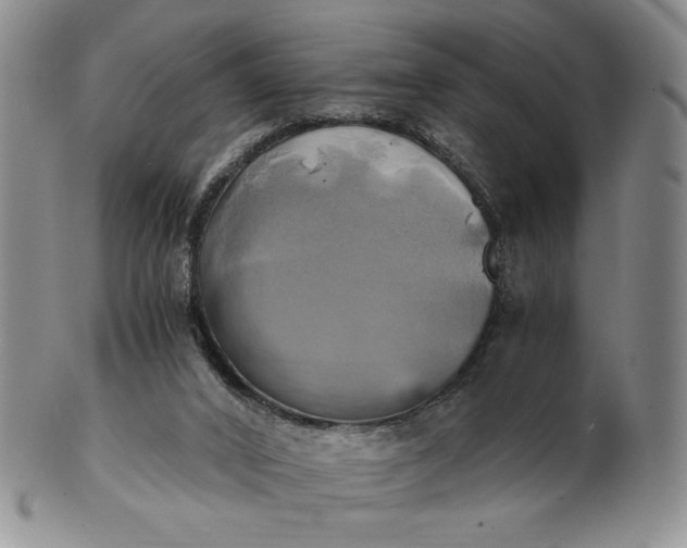 X0000100760016200807101738