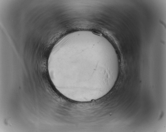 X0000100760017200807101738