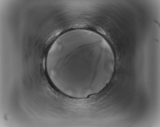 X0000100760019200807101738