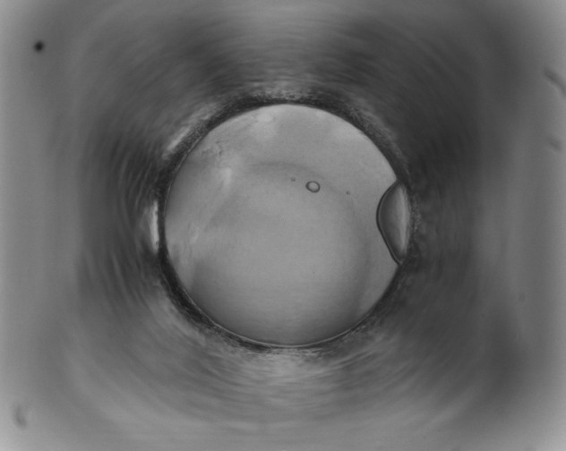 X0000100760020200807101738