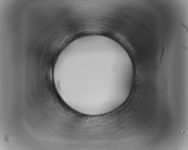 X0000100760021200807101738