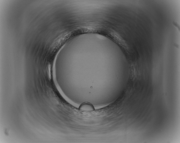 X0000100760022200807101738