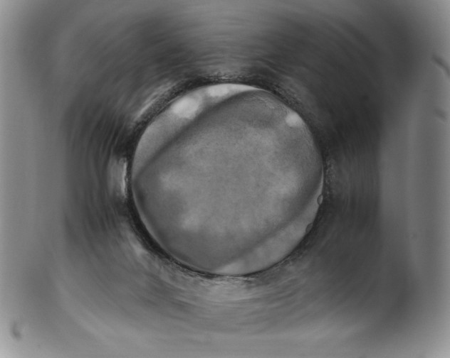 X0000100760024200807101738