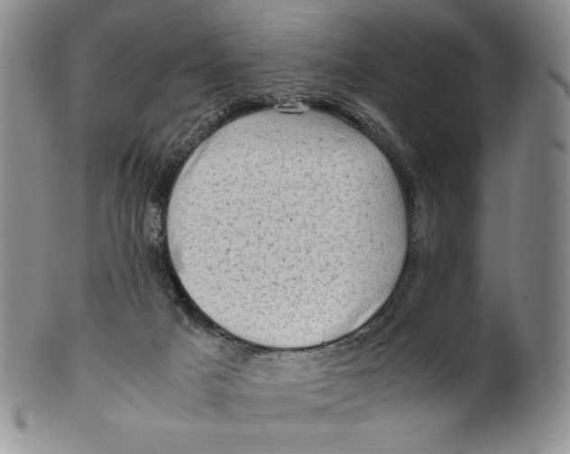 X0000100760025200807101738