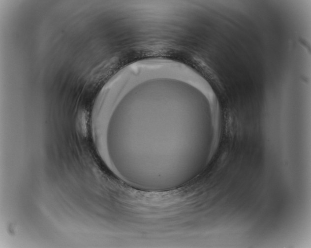 X0000100760026200807101738