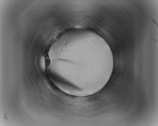X0000100760028200807101738