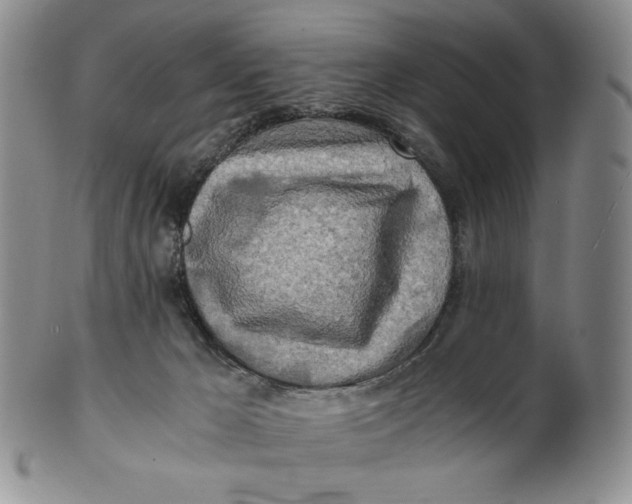 X0000100760029200807101738