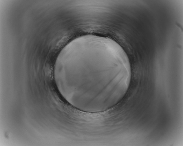 X0000100760031200807101738