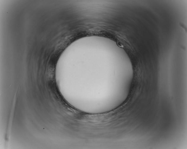 X0000100760033200807101738
