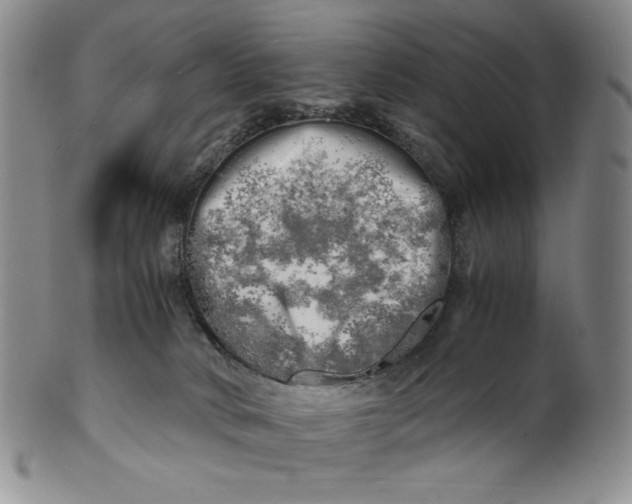 X0000100760034200807101738