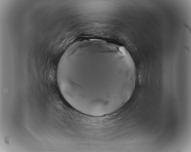 X0000100760035200807101738