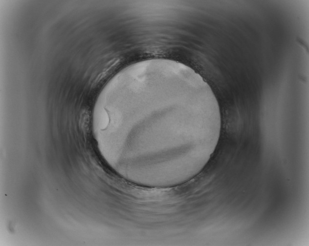 X0000100760036200807101738