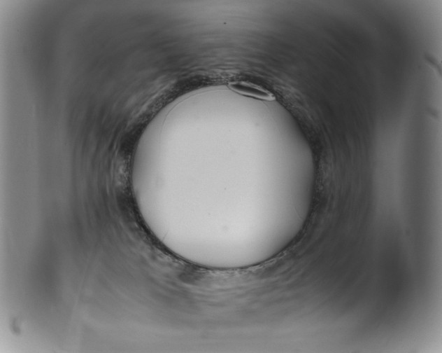 X0000100760037200807101738