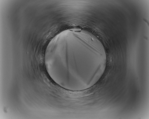X0000100760039200807101738