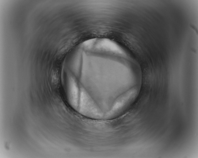X0000100760040200807101738